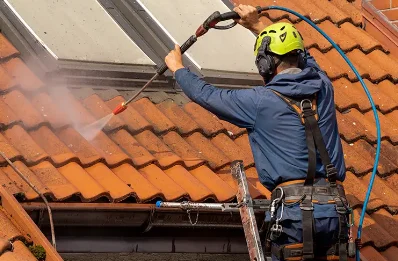 Démoussage et hydrofuge de toiture à Reignat
